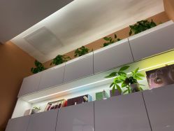 -希梵尔头皮抗衰·科技养发