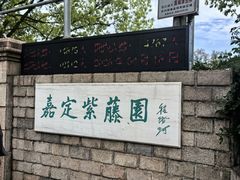 -嘉定紫藤园