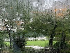 -浙江西子宾馆·瑶园咖啡厅