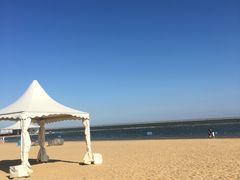 -碧海金沙