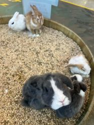 点击看大图 -思诺卡儿童俱乐部(东方广场店)