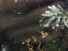 -暹罗海洋世界