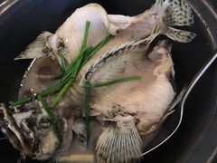 老虎斑-ZF Seafood Restaurant 卓峰海鲜餐