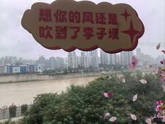 -李子坝梁山鸡(李子坝大鸡哥店)