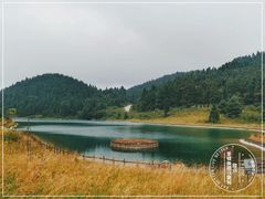 -武陵山森林公园