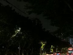 -沙湾姜埋奶(兴新包店)