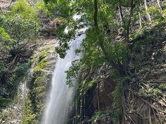 -莫里热带雨林景区