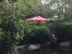 -西安国际创新人才交流中心•药浴温泉