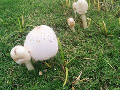 -江南大学(蠡湖校区)