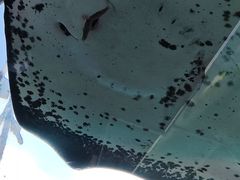-西海国立公园九十九岛水族馆