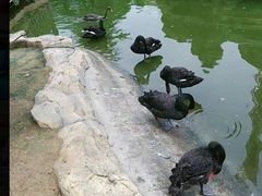 -广州融创文旅城