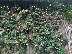 -瓦库茶馆17号(海汇港店)