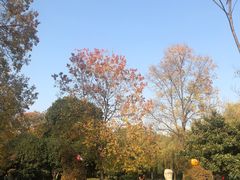 -洛阳市隋唐城遗址植物园