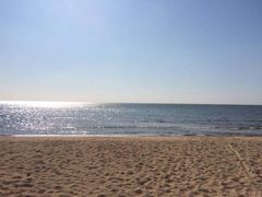 -北戴河东海水浴场