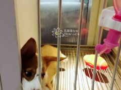 -1013 PET SHOP 宠物商店(近铁城市广场店)