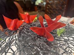 -迦南苑·新派青岛菜·生日纪念日主题餐厅