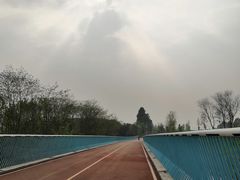 -白鹭湾湿地公园