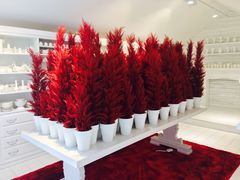 -Gentle Monster(Galleria百货狎鸥亭店)