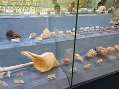 -浙江自然博物院(杭州馆)