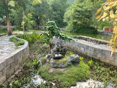 -靖西鹅泉风景区
