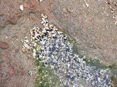 -金沙滩海水浴场(万平口景区4号门扬帆广场店)