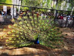 -长白岛森林公园