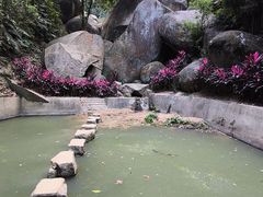 -火炉山森林公园