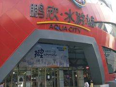 -鹏欣水游城