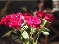 -第101座花园餐厅(湖滨88店)