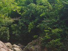-井空里大峡谷