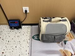 -瑞派康怡24h宠物医院·犬猫医疗中心·微创绝育(瑞景分院)