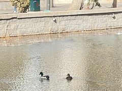 -La Medina餐厅(亮马河南路店)