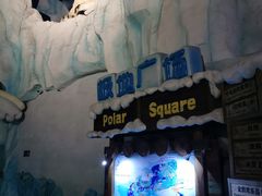 -海合安青岛极地海洋公园