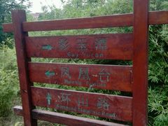 -火炉山森林公园