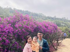 -南国桃园旅游度假区