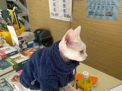 -天宠宠物医院24小时·急重症诊疗中心·全科·腔镜特色(和平分院)