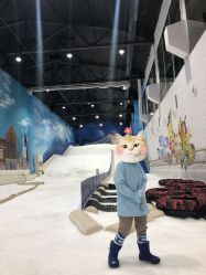 -Mr·Kuma酷么先生雪之乐园