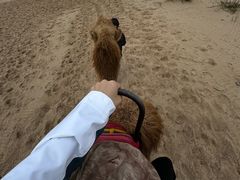 -库伦旗银沙湾旅游景区