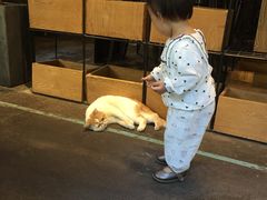 -ZM COFFEE(西安路店)