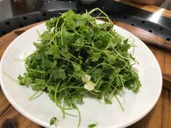 -铁锅炖灶台鱼老三炖鱼馆