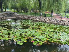 -黛秀湖公园