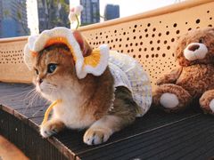 -三圣花乡旅游区