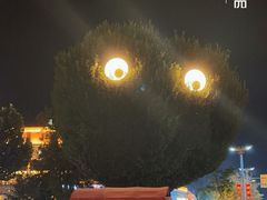 -特克斯八卦城
