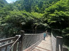 -陕西省红河谷森林公园