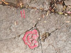 -西湖风景区十里琅珰-五云山