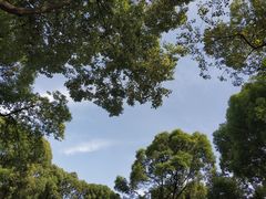 -四川大学(望江校区)