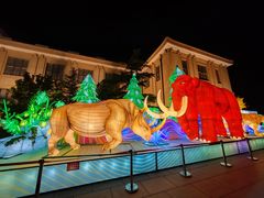 -国家自然博物馆