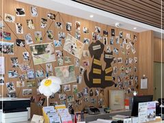 -爱妮康宠物医院·干细胞免疫细胞·肿瘤·心脏(张江店)