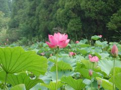 外景-上海怡沁园度假酒店