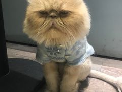 -小时光咖啡馆(开森度假森林店)